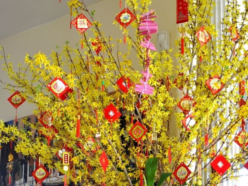 Sử Dụng Cây Cảnh May Mắn: Đào, Mai, Quất