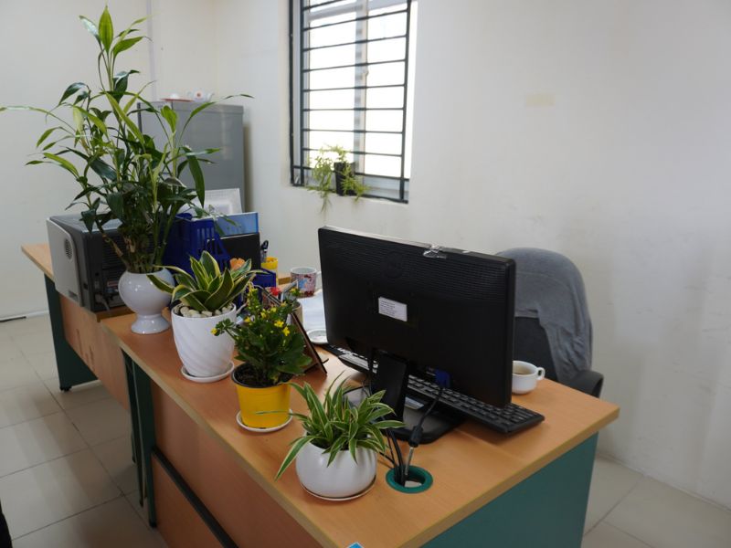 Tích hợp cây xanh và décor nhỏ