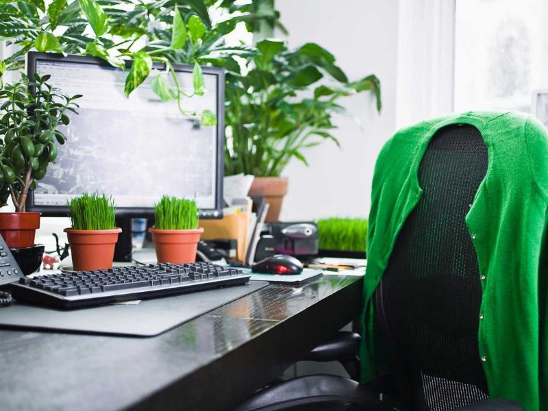 Trang Trí Phòng Làm Việc Công Sở